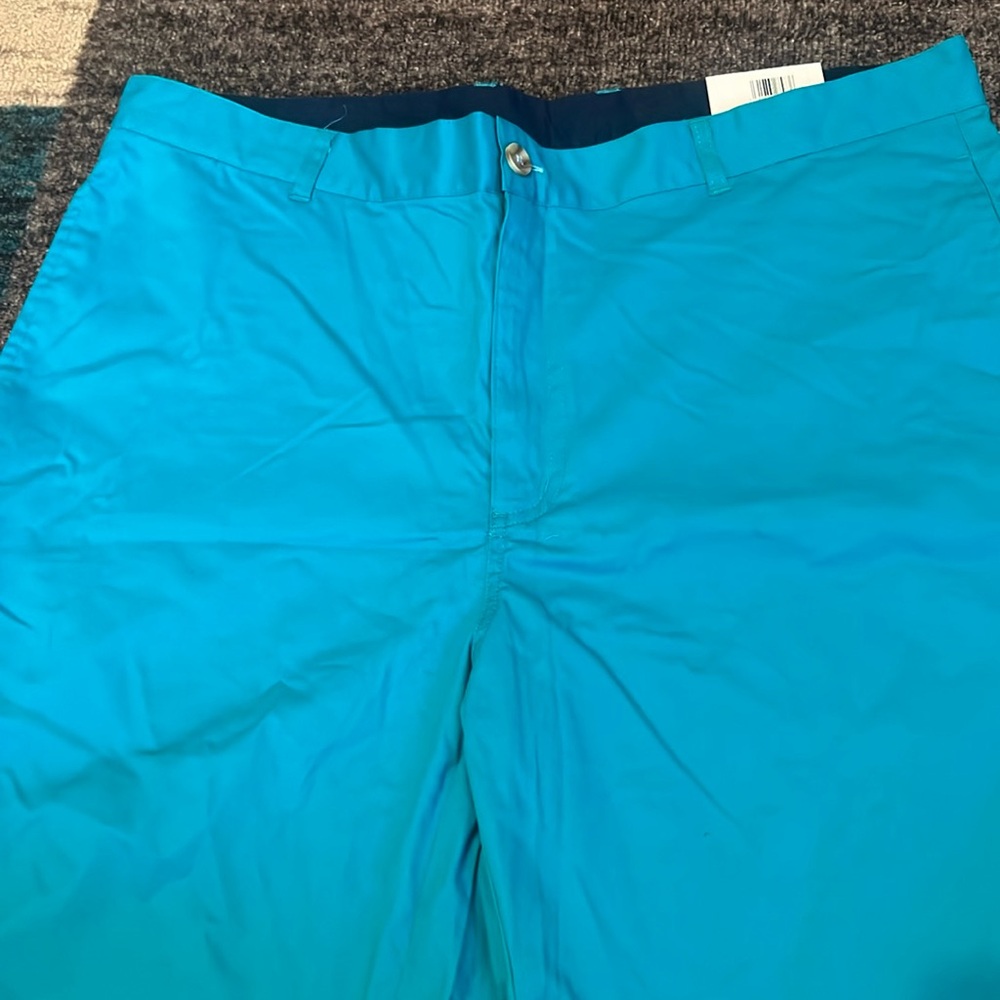 Tailorbyrd Aqua Size 38 golf shorts